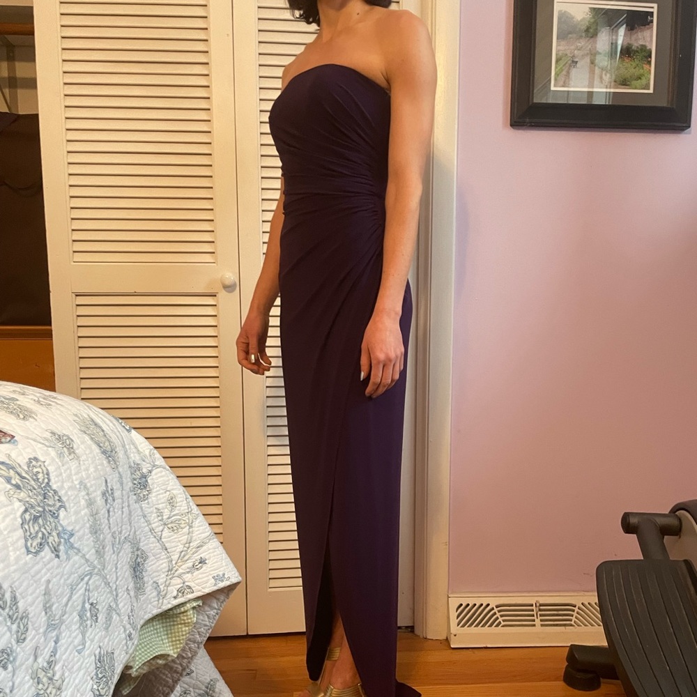 Floor Length Plum Dress, Size 00